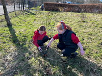 Clyde Climate Forest tree planting Whinhill Primary